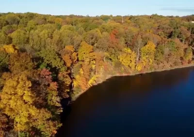 Trees and river edge