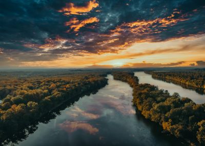 sunset and trees