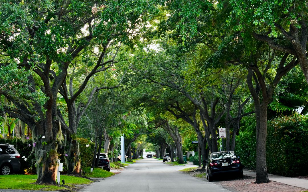 Advanced Techniques for Durable Asphalt Driveways